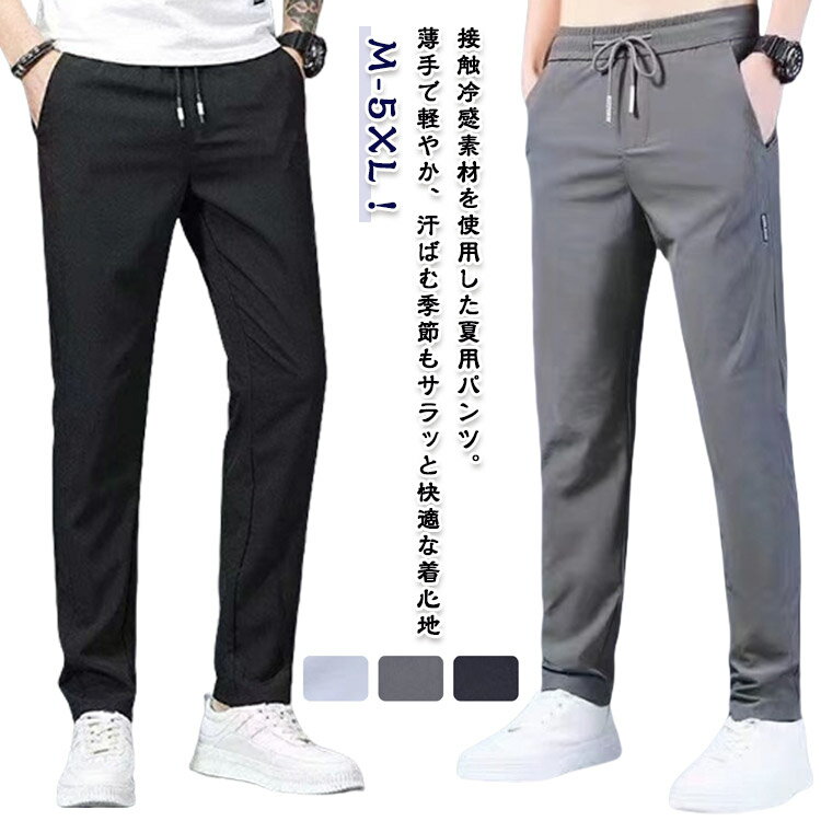 쥯ȥȥ¿Ʋ㤨֥ݡĥѥ 礭 ȥ졼ȥѥ ȥ졼ȥѥ  ץ ȥ졼ȥѥ ȥåѥ ä ܿ䴶 奢ѥ ̵ ӥͥ奢 ô ȥ ѥ   ̵ϡפβǤʤ1,199ߤˤʤޤ