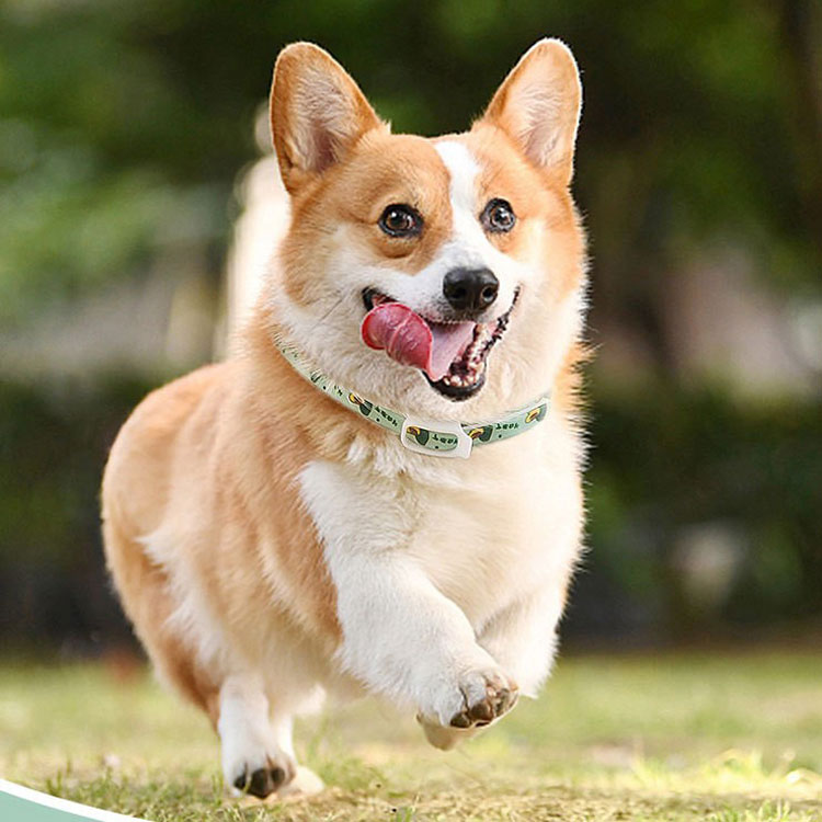 セレクトストア 安心堂の犬猫兼用 蚊よけ 虫除け 首輪 ナイロン 軽量 首輪 ネックレス ペットグッズ 精油 シンプル おしゃれ かわいい 水洗い可能 アクセサリー 犬用首輪 小型犬 中型犬 大型犬 お散歩 アウトドア 送料無料｜アングル2