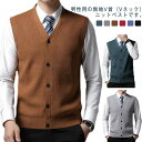全6色×5サイズ!カシミヤ混 トップス メンズ ニットベスト シンプル フォーマル 無地 前開ベスト 大きいサイズ お洒落 おしゃれ ビジネスベスト 洗える ビ...