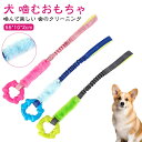 犬 噛む おもちゃ 犬 犬 おもちゃ 噛む ロープ 頑丈 子犬 引っ張りっこ遊び 知育玩具 小型犬 中型犬 噛むおもちゃ 噛んでも壊れない 安全 ゴム ストレス...