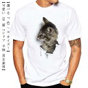 デザインTシャツ メンズ 3D 半袖 猫 Tシャツ Tシャツ にゃんこ ねこ キャット グラフィック 3D 猫 レディース ネコ ストリート 個性的トップス カットソー 黒 白 春 夏 秋