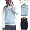 スクール セーター ニットベスト スクール 制服 学生 通学 ノースリーブ 制服 秋冬 卒業式 入学式 ボーダー 配色ライン Vネック ライン入り 大きいサイズ 中学生 高校生 通学 男の子 女の子 薄手 春