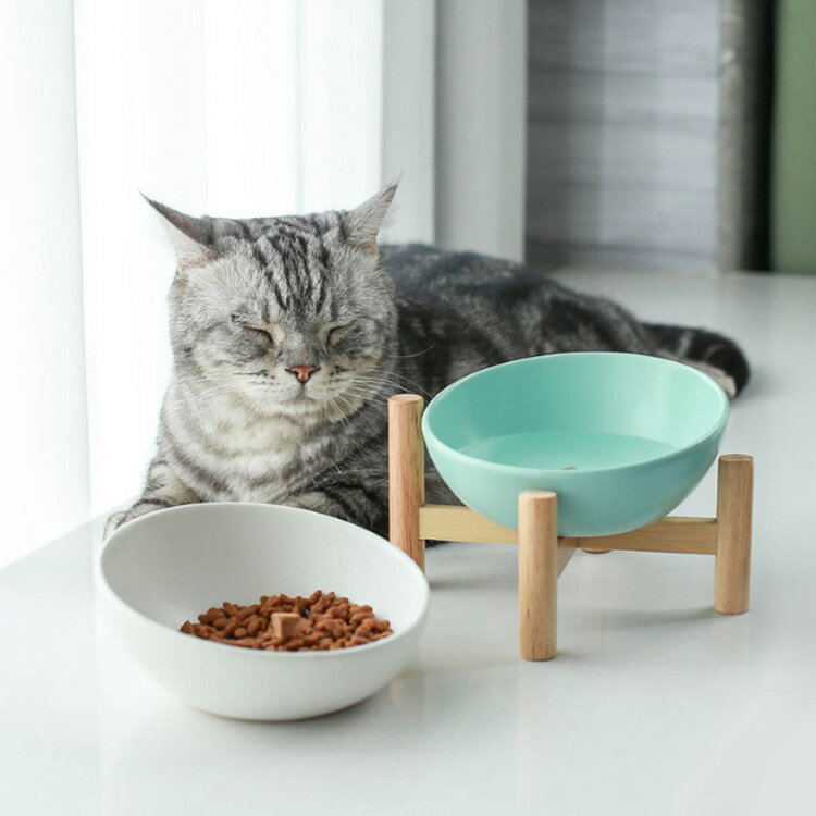 300m/600ml �ڥå� ���� ǭ ƫ�� �ܥ��� �Ф� �� �ա��ɥܥ��� ������ �ա��ɥ������ ���� ������� ǭ�� ������ ������ ���դ� �⤵������ �ڥå��� �»� ������ ���� ���� ���� ������ �� ��� ���٤䤹�� �¤��� �ڥåȥܡ��� �ơ��֥� �⤤ �ݤ� ���� ǭ���� ǭ����