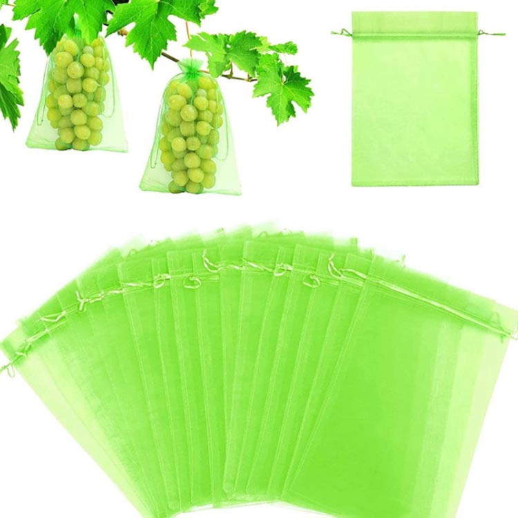 ���� ��å���Хå� �̼��� �ݤ��� Ļ�褱�� �̼��ѻ�� 100���� ��å����� �̼��� ��ʪ�ݸ�ͥå� �ݤ��� ��ʪ�� ��ʪ�ե롼���ݸ�Хå� ���� ��Ļ ���� ��Ӥ䤹�� ������ �̼� �˺ٷ� ¿���� �̵���