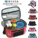 BBQ アウトドア 5L 保冷バッグ ソフトクーラーバッグ クーラーボックス ピクニック おしゃれ 折りたたみ 持ち運び コンパクト 手提げ 肩掛け お弁当 収納バッグ クーラーバッグ ピクニック 運動会 キャンプ BBQ レジャー 通勤 花火