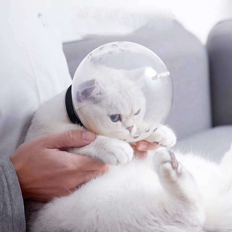セレクトストア 安心堂の猫 口輪 ペットマスク 透明 拾い食い防止 宇宙ヘッドギア口輪 爪切り補助用 ネコ 猫 猫用マスク ペットシャワー 拾い食い防止 透明 ねこ 爪切り補助具 猫 美容 噛みつき防止 耳掃除 傷舐め防止｜アングル2