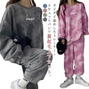 大きいサイズ ボア 春秋 セットアップ スウェットパンツ スウェットトレーナー ロングパンツ レディース 上下セット ルームウェア 部屋着 長袖 裏起毛 トレーナー ナイトウェア 寝巻き スポーツウエア スエット ゆったり