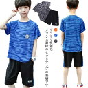 送料無料 吸汗 上下セット カジュアル 半パン ジュニア ビッグ 速乾 半袖 子供服 Tシャツ ハーフパンツ 接触冷感 セットアップ ジャージ 無地 スポーツ 韓国子供服 ルーズ ゆったり