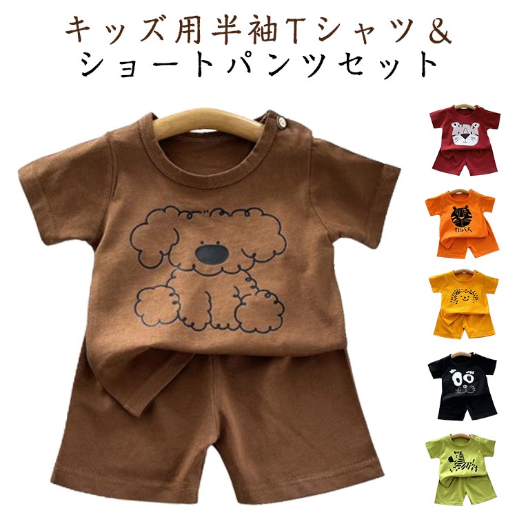 ベビー服 半袖tシャツ 上下セット キッズ 綿 Tシャツ ショートパンツ カジュアル セットアップ 可愛い柄 男の子 女の子 トップス 半ズボン シンプル ゆったり 通学 通園 シマウマ タイガー ライオン