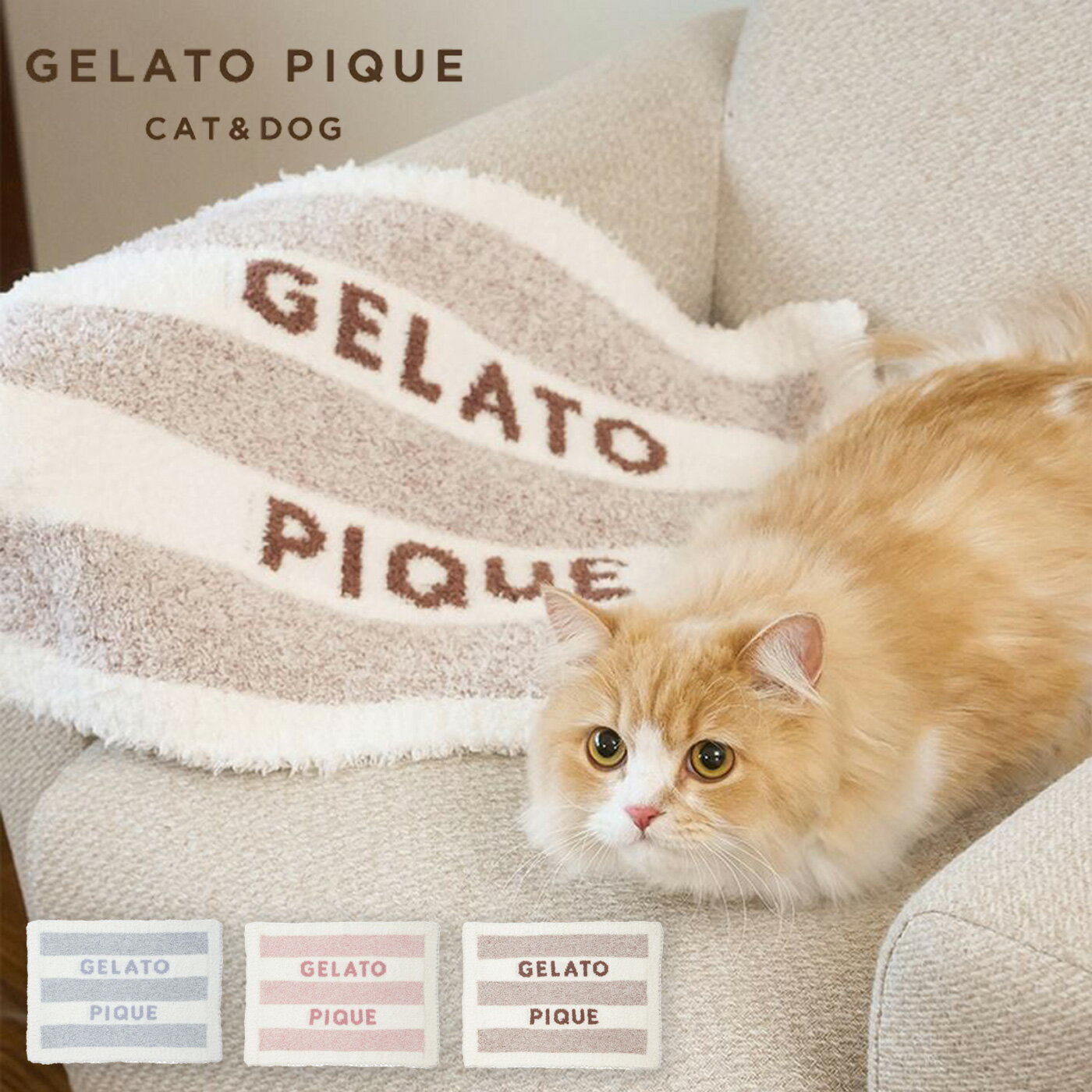 (ݥȺ10)顼ȥԥ gelato pique CAT&DOG 顼ȥ2ܡ֥󥱥å pagg255573 ԥ...