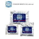 (10日限定ポイント最大10倍)COOLER SHOCK Sサイズ Mサイズ Lサイズ 3個セット(クーラーショック) 保冷剤 繰り返し使用可 キャンプ アウト...
