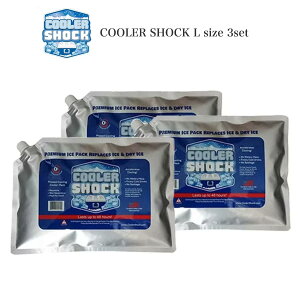 COOLER SHOCK Lサイズ 3個セット (クーラーショック) 保冷剤 予冷時間：約12時間 繰り返し使用可 キャンプ アウトドア 釣り 中〜大型クーラーボックス用 セレクト雑貨ムー