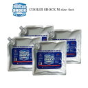 (10日限定ポイント最大10倍)COOLER SHOCK Mサイズ 4個セット(クーラーショック) 保冷剤 予冷約12時間 繰り返し使用可 キャンプ アウトドア 釣り レジャー クーラーボックス お弁当の保冷剤 運動時のアイシング プチギフト セレクト雑貨ムー【P10】