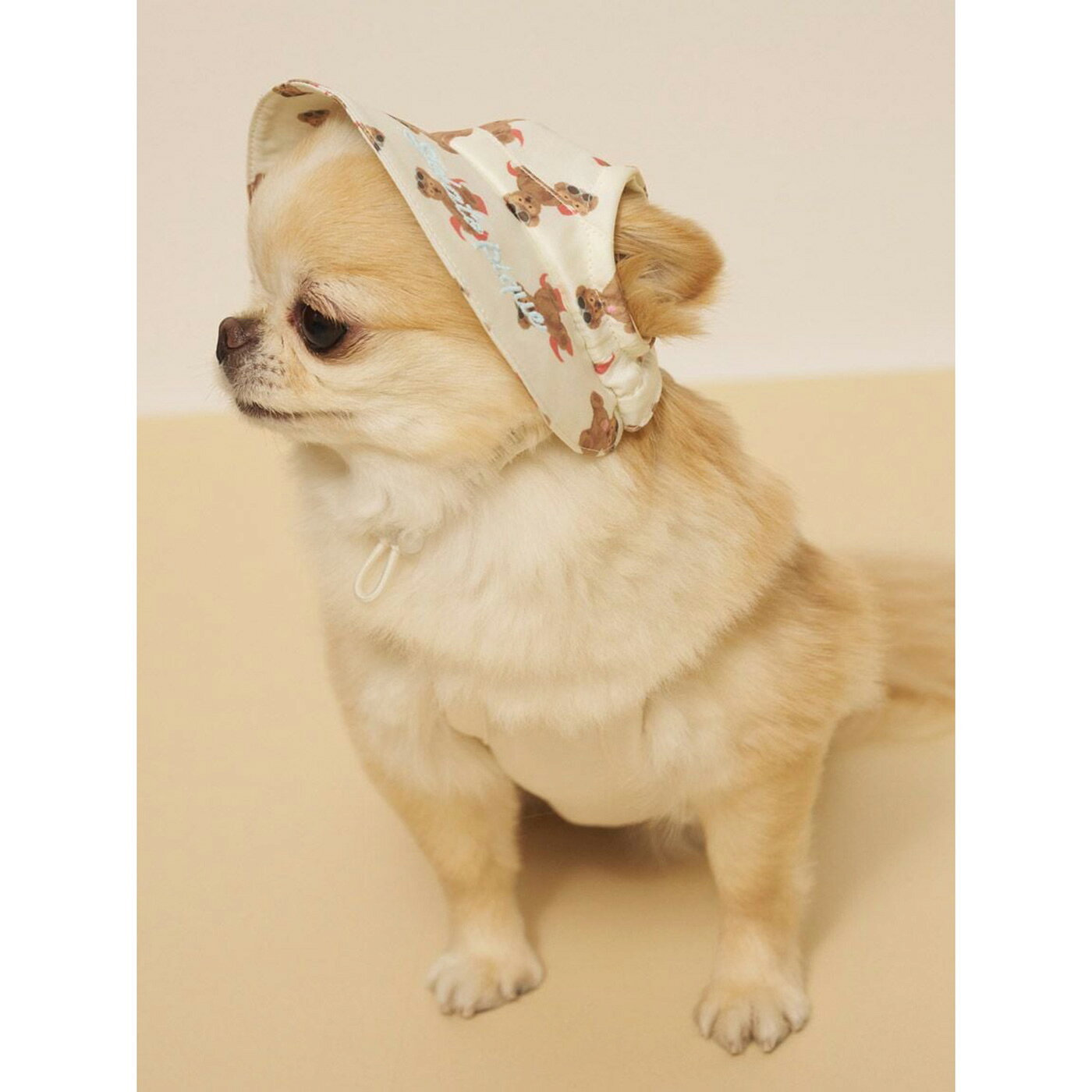 SALE30%OFF ジェラートピケ gelato pique CAT&DOG サマーベア柄ハット pagh262583 ジェラピケ 犬用 帽子 日差し対策 顎紐付き 散歩 お出かけ ドックウェア プレゼントにもおすすめ セレクト雑貨ムー selectzakkamu-10052226 セレクト雑貨ムー サンプル画像3