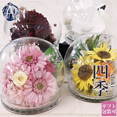 https://thumbnail.image.rakuten.co.jp/@0_mall/selene-/cabinet/flower-01/hana-049.jpg