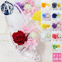 花 プリザーブドフラワー ガラスの靴 バラ 一輪 ギフト 正規品 シンデレラ フラワーアレンジメント 枯れない 豪華 お祝い 誕生日 結婚式 電報 結婚祝い 退...