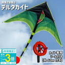 「ポイント3倍」カイト 凧 専用リール付属 長尾200cm 凧揚げ 凧上げ タコ揚げ スポーツ 外遊び キッズ 子供 家族 おもちゃ 玩具 レジャー ピクニック...
