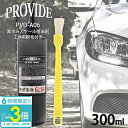 黒ずみスケール除去剤 PVD-A06 300ml 工作用刷毛付き 車 バイク 洗車 洗車グッズ 黒ずみ除去剤 スケール除去剤 整備グッズ メンテナンス 洗浄剤 ...