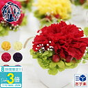 花 ギフト プレゼント プリザーブドフラワー 誕生日 カーネーション 一輪 結婚祝い 記念日 赤 枯れない プチ お祝い プロポーズ 開店祝い 喜寿 祝い ミニ...