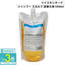 E STANDARD イイスタンダード シャンプー スカルプ 詰替え用 500ml スカルプケア 美容成分配合 保湿 ヘアケア 正規品 通販 2025 誕生日プレゼント
