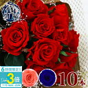 「ポイント3倍」花 ギフト プレゼント バラ 薔薇 プリザーブドフラワー 10本 幸福の花束 ローズブーケ フラワーアレンジメント 花束 ブーケ アリスフラワー 誕生日 結婚祝い 結婚記念日 贈り物 2025年 通販【Alice Flower】