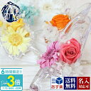 「ポイント3倍」【名入れ】花 ギフト プレゼント シンデレラ ガラス靴 プリザーブドフラワー 結婚祝い 記念日 枯れない花 ガーベラ&ローズ バラ アクリル フラワーアレンジメント 正規品 お見舞い 花 退院祝い 快気祝い 誕生日2025年 通販 誕生日プレゼント