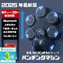 【P3倍】【サマーセール】パンチング マシン 音楽再生 家庭用 ダイエット パンチングマシン ミュージック ボクシングマシン パンチングマシーン ライト Blu...