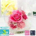 【P3倍】花 ギフト プレゼント プリザーブドフラワー ガラスドーム ガラスケース バラ 青いバラ ブルー グリーン 赤 ドーム ケース入り 枯れない プチ お...