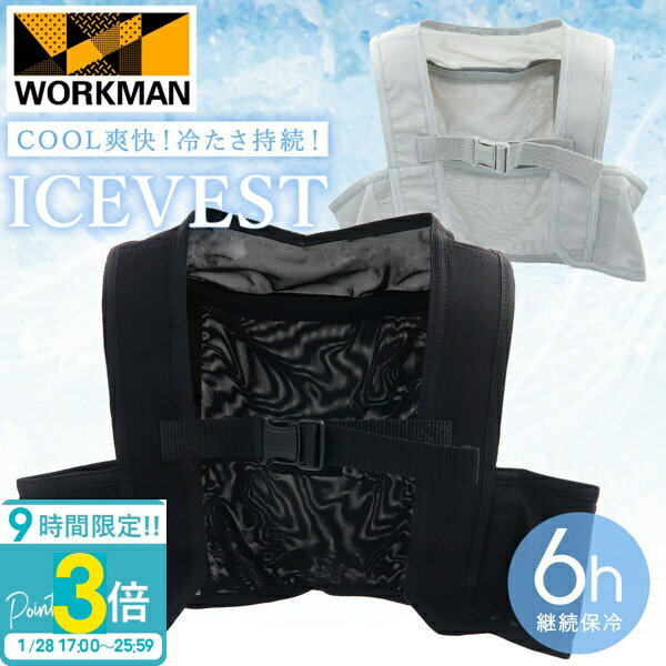 【P3倍】ワークマン タルテックス アイスベスト（アイスパック4個付）長時間保冷 アイスパック 着る保冷剤 安価 長時間冷却 熱中症対策 暑さ対策 アイスベスト 通販 2025