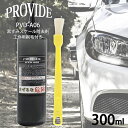 黒ずみスケール除去剤 PVD-A06 300ml 工作用刷毛付き 車 バイク 洗車 洗車グッズ 黒ずみ除去剤 スケール除去剤 整備グッズ メンテナンス 洗浄剤 クリーナー 汚れ 簡単 除去 黒ずみ 落とし 専用