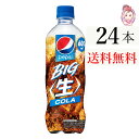 サントリー ペプシ BIG ＜生＞600ml PET 1ケース 24本