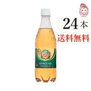 送料無料 カナダドライジンジャーエール 500ml PET 24本×1ケース 計:24本