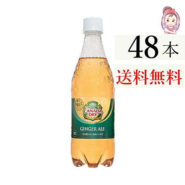 送料無料 カナダドライジンジャーエール 500ml PET 24本×2ケース 計:48本