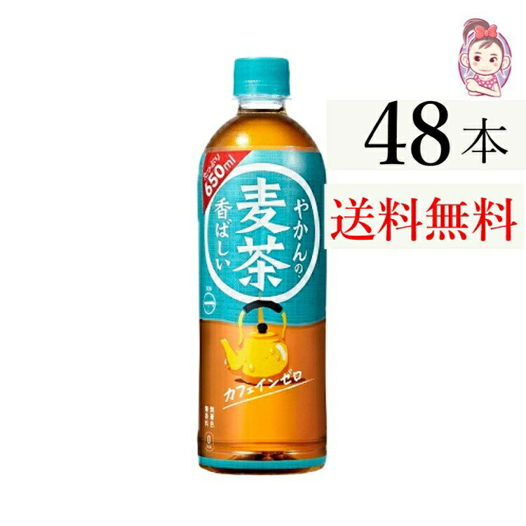 送料無料 やかんの麦茶 from 一(はじめ) ペットボトル 650ml 24本 2ケース 計：48本 お茶