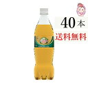 送料無料 カナダドライ ジンジャーエール ペットボトル 700ml 20本 2ケース 計：40本