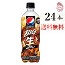 Tg[ yvV BIG [ 600ml PET 1P[X 24{