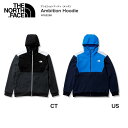 THE NORTH FACE/U m[XtFCXmArVt[fBiYjnNT62290