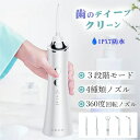 口腔洗浄器 歯垢除去 口内洗浄機 超音波 電動ジェットウォッシャー 携帯型 歯周ポケット 歯垢除去 初心者向け 3段階モード 防水 充電式 歯みがき 虫歯 奥歯...