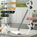 掃除機 コードレス 充電式 コードレス掃除機 乾湿両用 ハンディクリーナー 48000pa 吸引力 軽量 小型 強力吸引 4WAY 業務用 長時間稼働 ハンディ掃除機 ワイヤレス掃除機 5重濾過 一人暮らし HEPAフィルター 家庭用 車用 ペット用 省エネ 掃除(2)