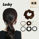 \母の日★25%OFF/【福袋6点セット】ヘアゴム セット 福袋 大人っぽい プチギフト 可愛い ヘアゴム かわいい 跡がつかない シンプル レディース 髪留め...