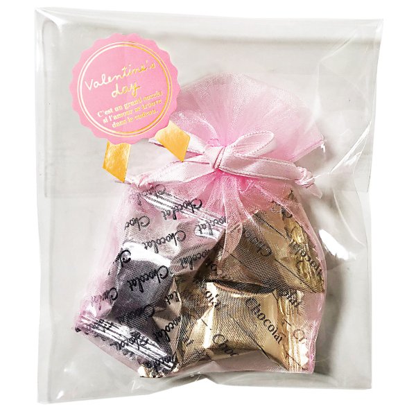 プチギフトバレンタインホワイトデー チョコレート 義理チョコ 大量 会社 お菓子 ギフト タカオカ 生チョコ風味のショコラ2種詰め合わせ