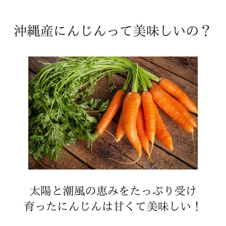 キャロットスープ 200g×5人前 ー スープギフト スープ 無添加 野菜スープ 冷凍スープ にんじんスープ プチギフト 高級 美味しい お取り寄せグルメ ご当地グルメ お祝い 誕生日 両親 贈り物 ポタージュ 父の日 母の日 祖父母 敬老の日