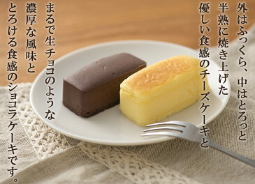 【5400円以上 送料無料】半熟チーズケーキ＆濃厚チョコケーキ 【フロマージュ＆霧のショコラ 10個入り】クリスマス お歳暮 お菓子 プレゼント スイーツ ギフト とろける口溶け ふわとろ食感 まるで生チョコのようなチョコレートケーキ 一口サイズ 個包装