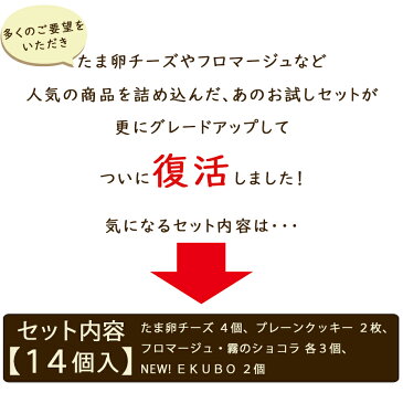 プレミアムお試しセット 【チーズケーキと人気スイーツの詰め合わせ】訳あり お菓子 おうち時間 計14個入り【お一人様1点限り】フランシーズ/セルビスライフデザイン