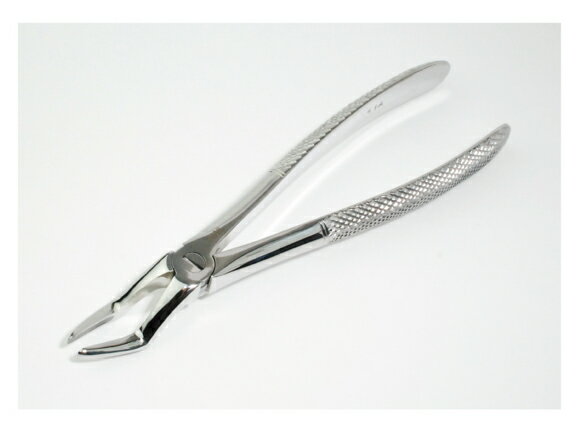 ★送料無料★抜歯鉗子 - 185mm 上前部歯根用 1袋/1本入 AWL