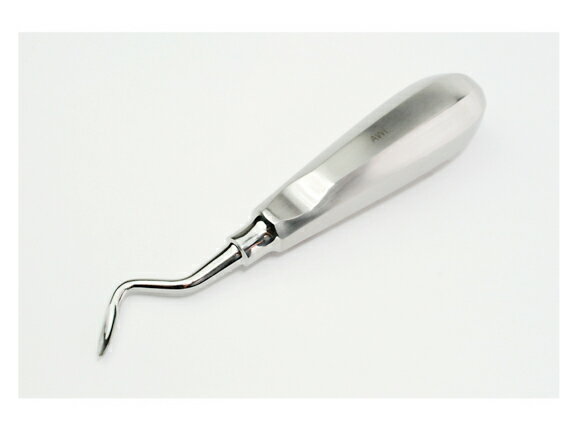 Rakuten - 歯根エレベ−ター - 150mm Fig. 303 1袋/1本入 AWL