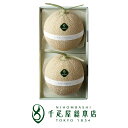 日本橋 千疋屋総本店 マスクメロン 2個(約1.3kgx2・化粧箱入)|送料無料 お中元 父の日 ギフト 誕生日 プレゼント 贈答品 贈答用 お見舞い 内祝い