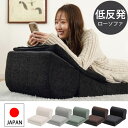 【25日限定★全品5%OFFクーポン】 もっちり 1人掛け ローソファー 単品 こたつ 1人用 座椅子 フロアソファー 背もたれ 変形 ごろ寝