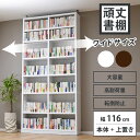 本棚 頑丈 大容量 書棚 スリム A4 収納棚 リビング オフィス 収納 ファイル ラック オープンラック コミックラック マルチラック 薄型 テレワーク 漫画 文庫本 つっぱり棚 ファイル収納 ファイルラック 幅116cm