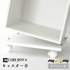 https://thumbnail.image.rakuten.co.jp/@0_mall/semi-style/cabinet/sm-main/cba/cbao-caswp_m_01.jpg